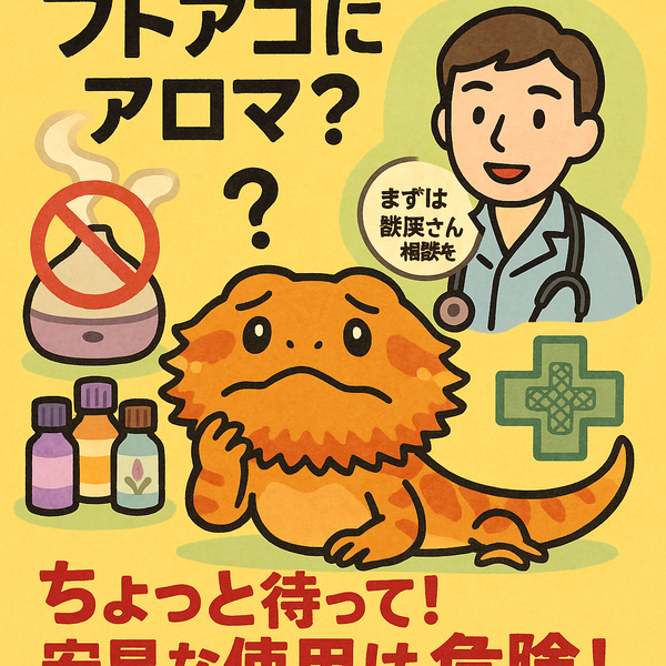 ちょっと待って！フトアゴにアロマ？爬虫類へのアロマテラピー利用は慎重に
