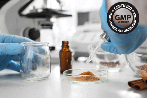 GMP製造基準認定の製造プロセス