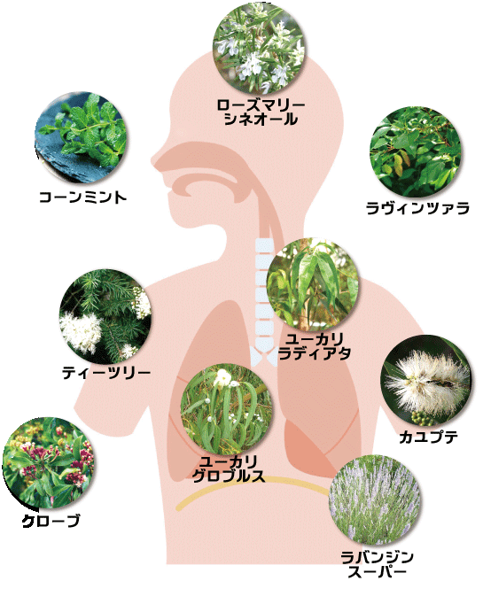 リンネルの花粉ウイルス対策部門第1位 RESPINATURE レスピナチュール30ml  無農薬精油 化粧品認可有り